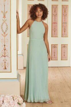Love & Roses Pleated Lace Insert Bridesmaid Maxi Dress